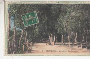 BR45164  Mostaganem un coin du ardin public       2 scans