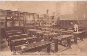 algerie-collège et ecole primaire superieure de mostaganem- classe d'histoire naturelle