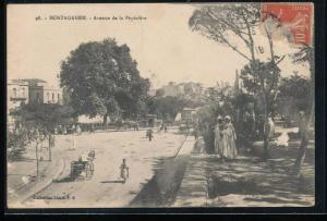 Algerie --- Mostaganem --- Avenue de la Pepiniere