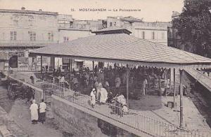 CPA ALGERIE MOSTAGANEM La Poissonnerie