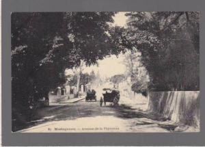 algerie - mostaganem - 87  ae de la pepiniere