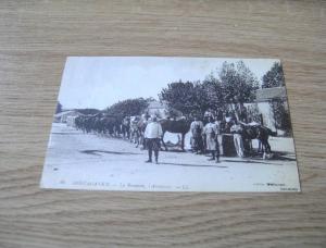 A-1-3-5 Mostaganem la Remonte L'Abreuvoir