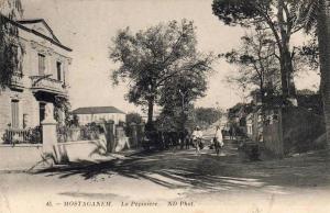 ALGERIE  MOSTAGANEM  La Pépinière