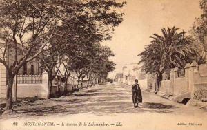 ALGERIE  MOSTAGANEM  L'Avenue de la Salamandre  ...... ( Ref FA358 )