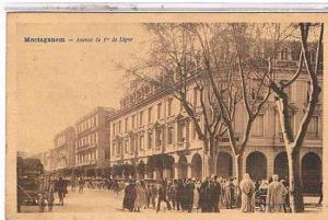 MOSTAGANEM  AVENUE  DE  1er  LIGNE   TRES  ANIMEEE    BE  1R972