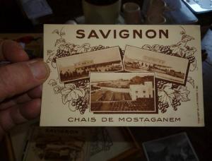 Savignon Mostaganem Multivue des Chais ...................... JM FISHER