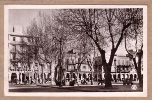 ALGERIE - MOSTAGANEM - CPSM - 17- Les Platanes de la Place de la République - éditeur EAS