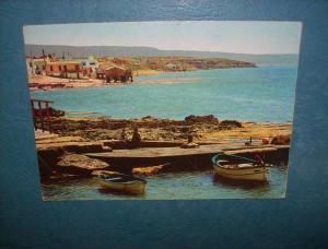 Mostaganem - Salamandre - animée - pli vertical - écrite - L81A