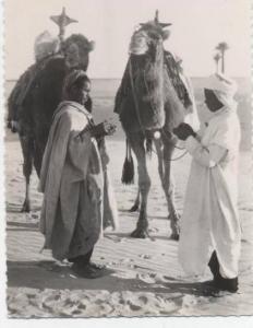 AFRIQUE  /  ALGERIE  /  FUMONS UNE CIGARETTE      CPSM   10 X 15