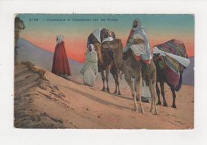 Algérie N° 8159 Chameaux et Chameliers sur les Dunes belle carte écrite de Mostaganem en 1932