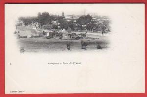 CPA Algérie - Mostaganem - Route de Saint Jules (Geiser N°6)