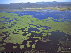 La journée internationale de la biodiversité: Le 25 mai à El Kala
