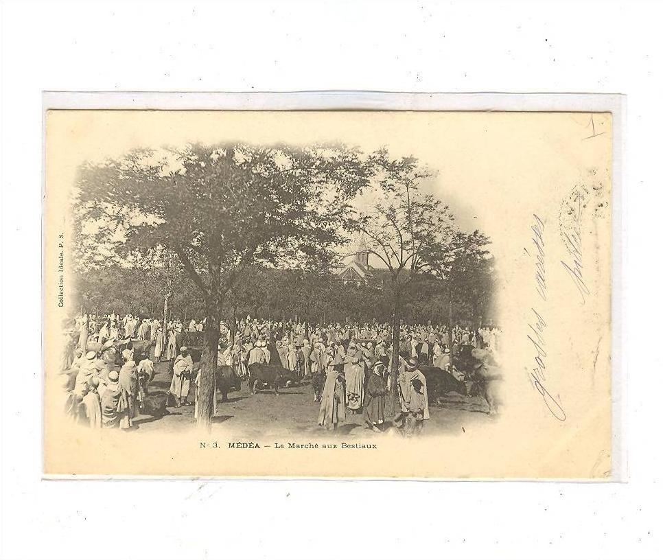 MEDEA_Le marché aux bestiaux