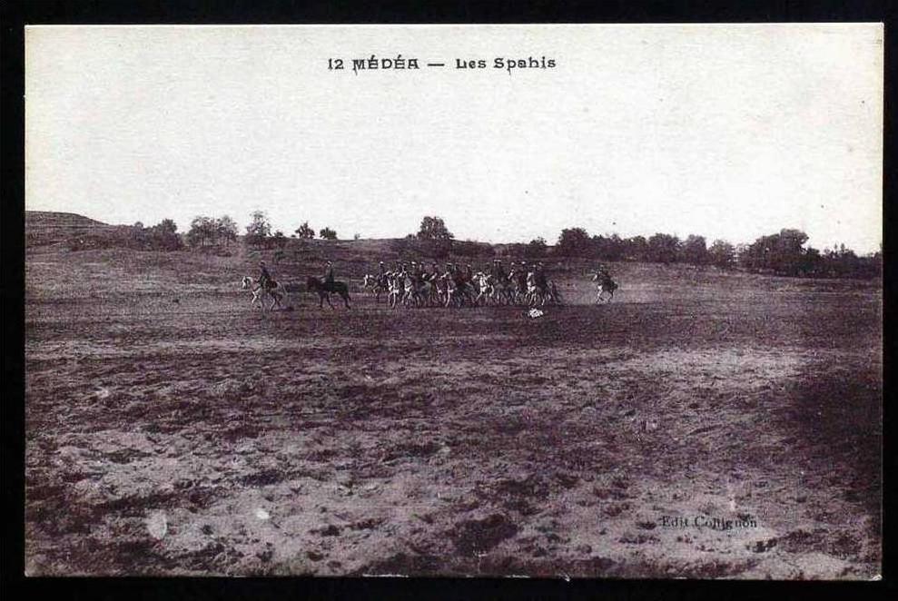 Médéa - Les Saphis - Groupe de Cavaliers - Carte vierge en parfait état -