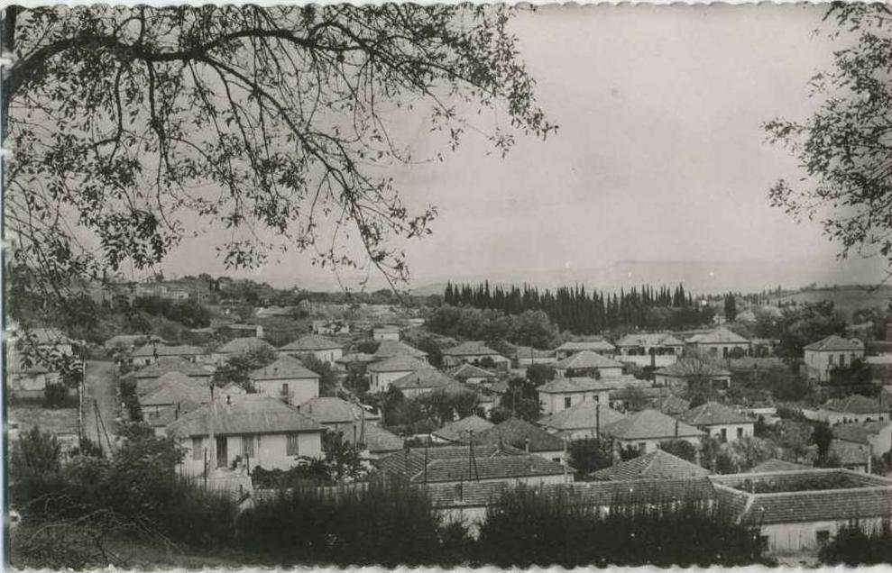 Algérie Médéa Quartier  Nador Cpsm