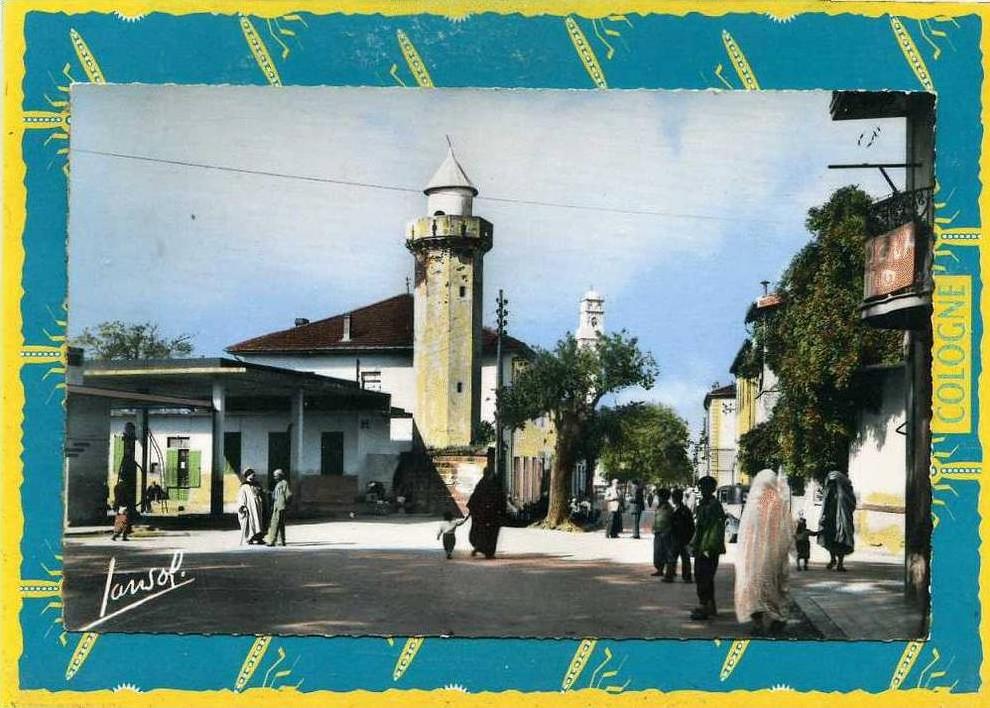 MEDEA Alt. 920 m  Edit. Jansol 5