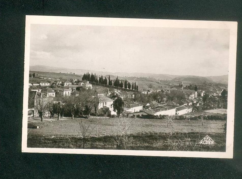 CPSM - Algérie - Médéa - Vue générale et Quartier du Nador ( Ed. PHOTO AFRICAINES)