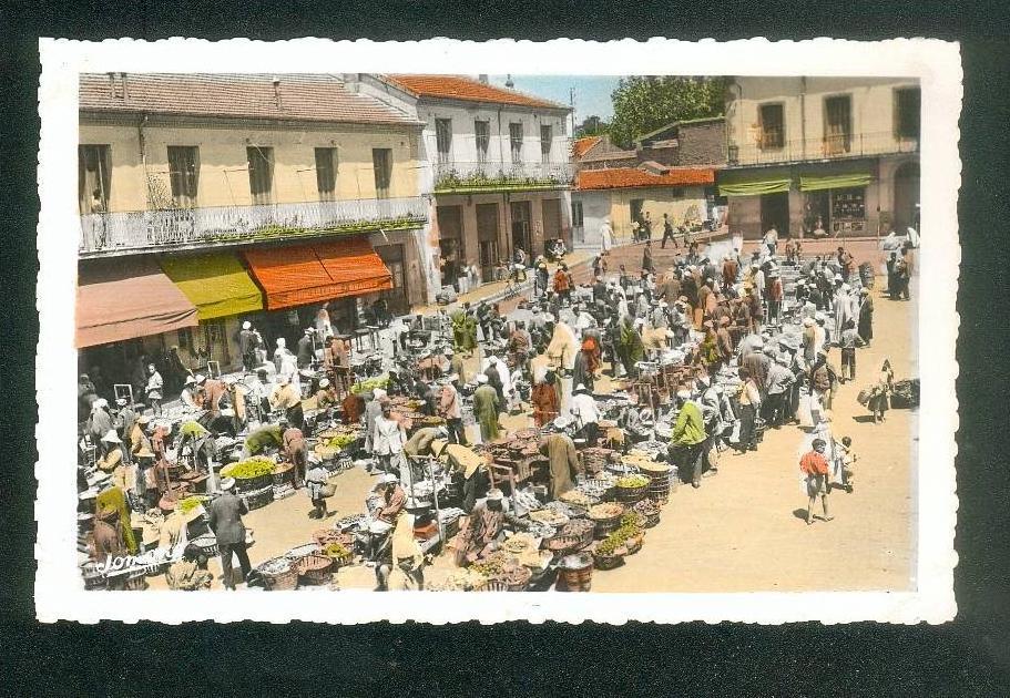 CPSM - Algérie - Médéa - La Place du Marché (  animée JOMONE 28 format CPA)