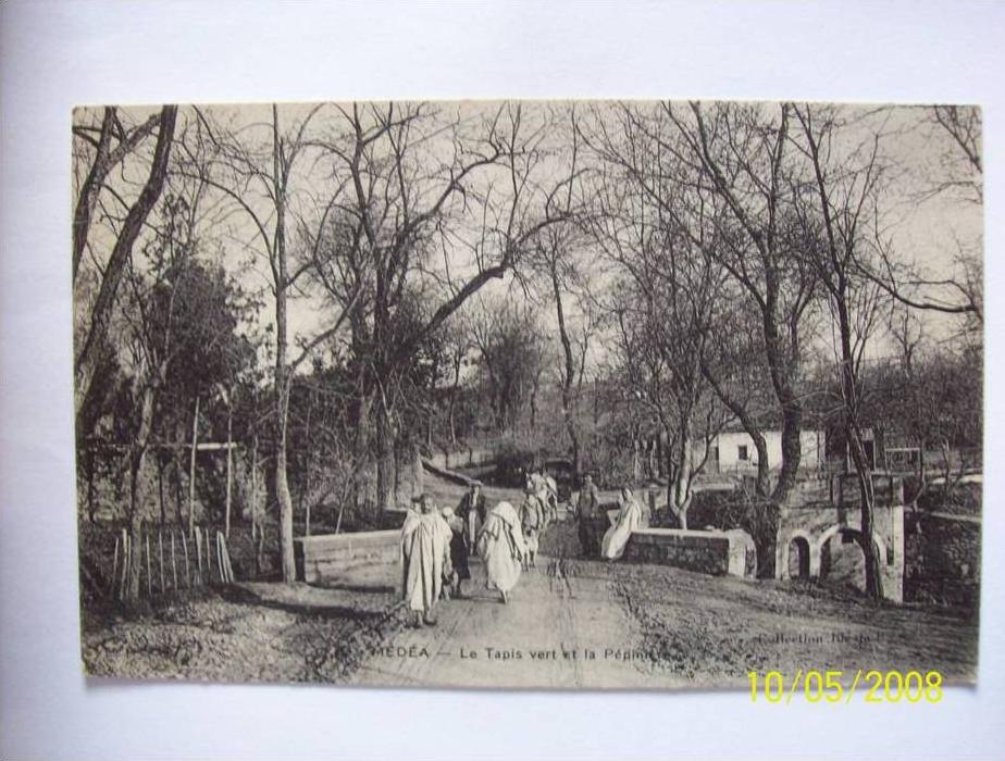 medea le tapis vert et la pepiniere