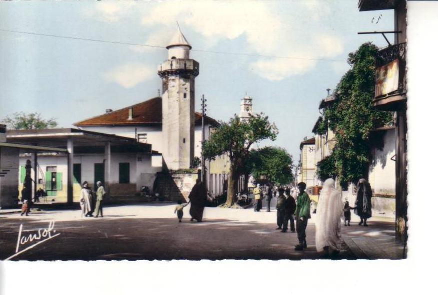 ALGERIE , CPSM MEDEA , ANIMATION