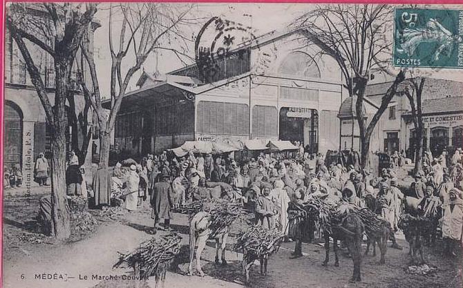 ALGERIE  429   MEDEA  Le Marché Couvert