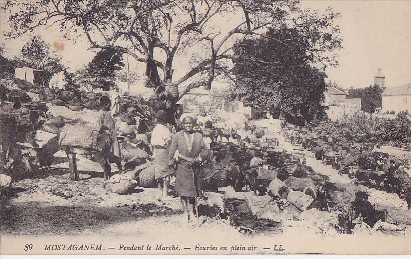 MOSTAGANEM  PENDANT LE MARCHE  ECURIES EN PLEIN AIR