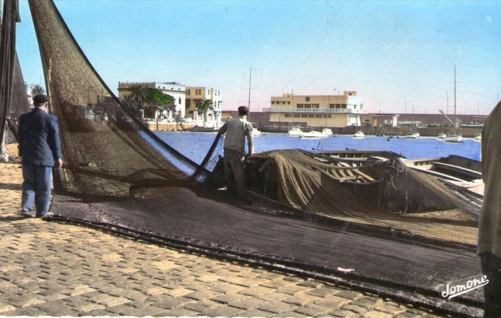 CPA ANIMEE ALGERIE, ALGER, L'Amirauté et le Rowing-Club