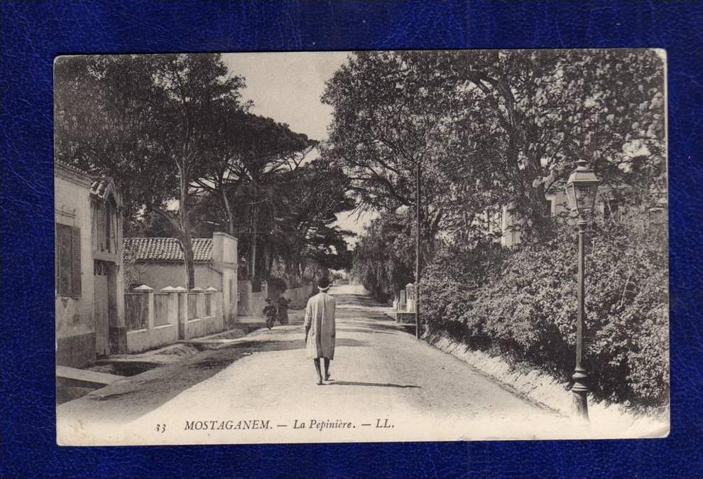 Algerien / Algérie - Mostaganem  La Pepiniere