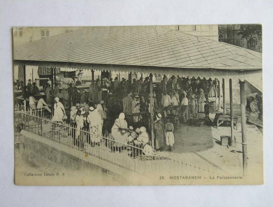 CPA  - MOSTAGANEM - LA POISSONNERIE