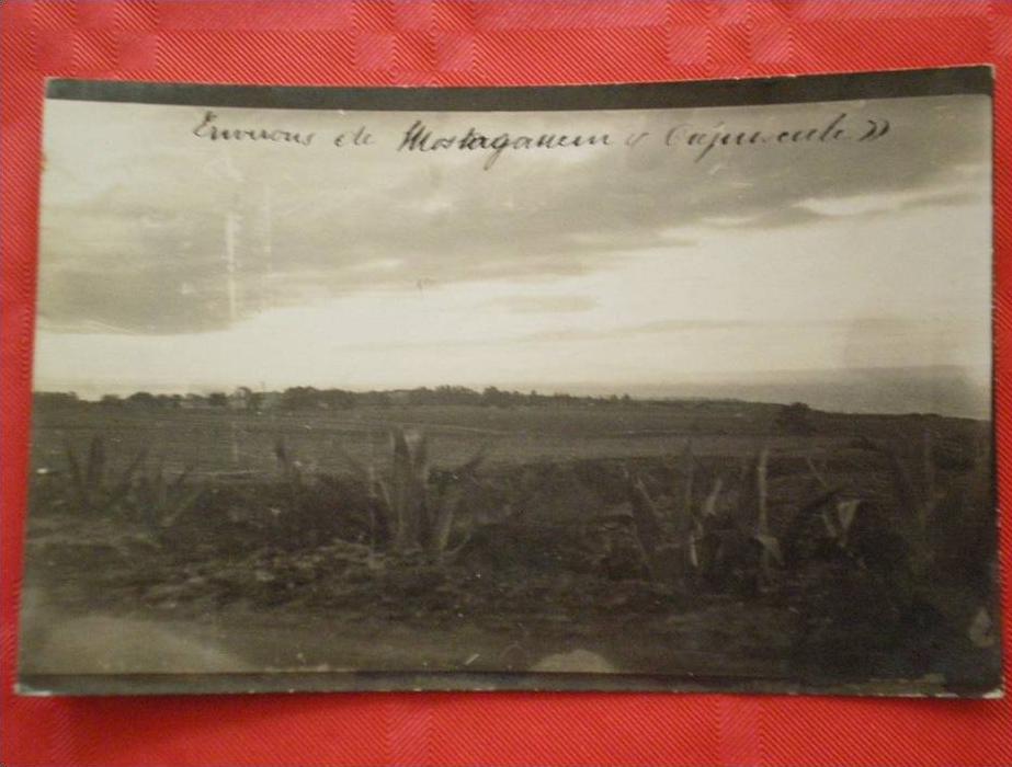 0106 ALGERIE Mostaganem CARTE PHOTO  crépuscule