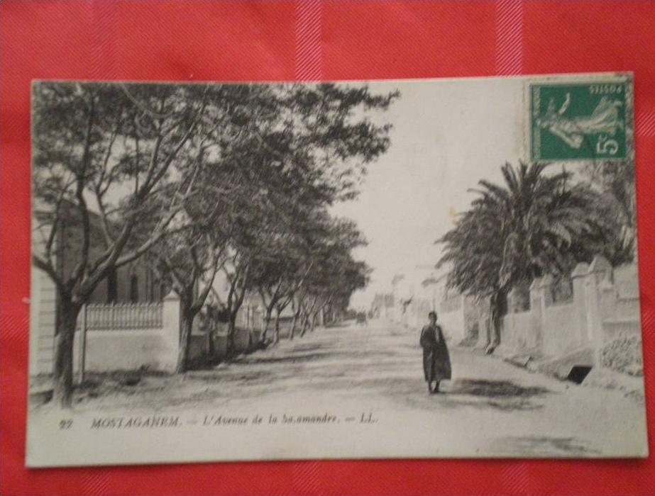 0115 ALGERIE MOSTAGANEM Avenue de la Salamandre