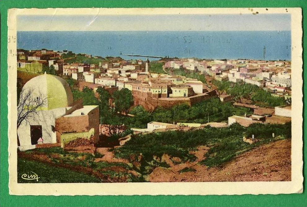 cpsm  ALGERIE -   Mostaganem  -  Vue générale sur Tidjditt  - ....LMA8
