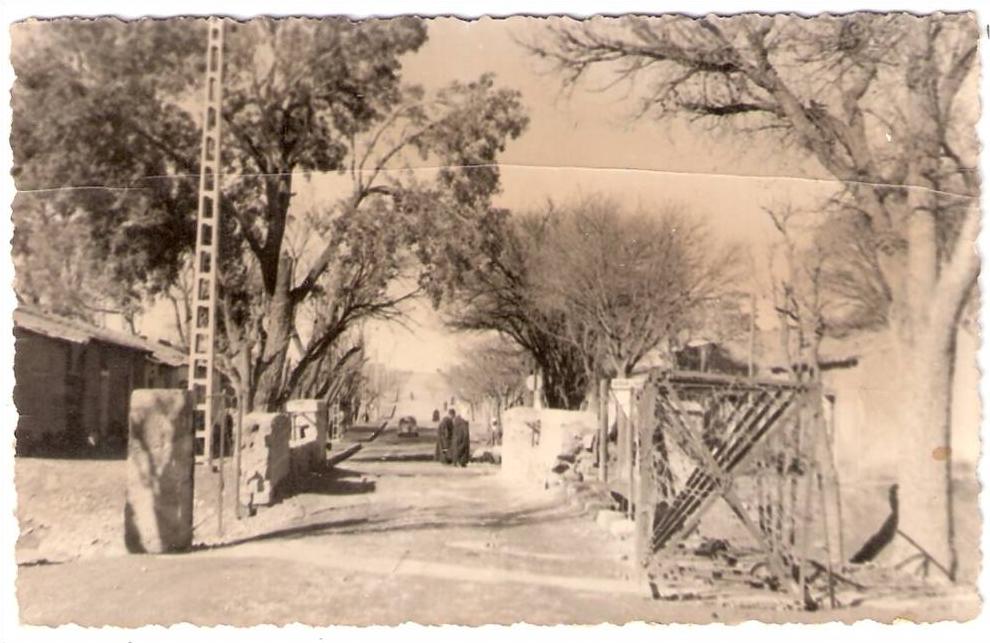 EL ARICHA photo format CPA vue Algérie Afrique