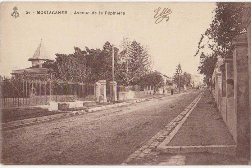 CPA ALGERIE MOSTAGANEM Avenue de la Pépinière