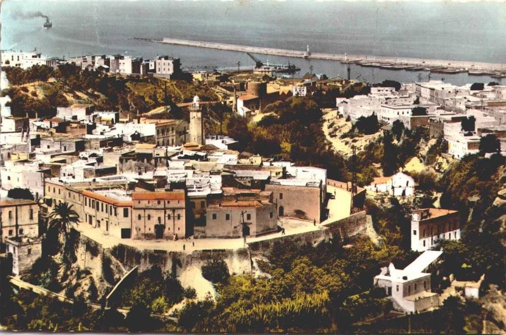 MOSTAGANEM  / LOT 441