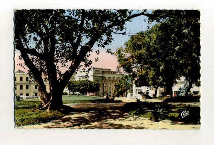- ALGERIE . MOSTAGANEM . LE JARDIN PUBLIC .