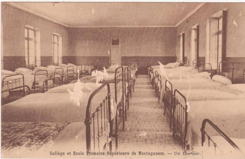 algerie-collège et ecole primaire superieure de mostaganem- classe d´histoire naturelle