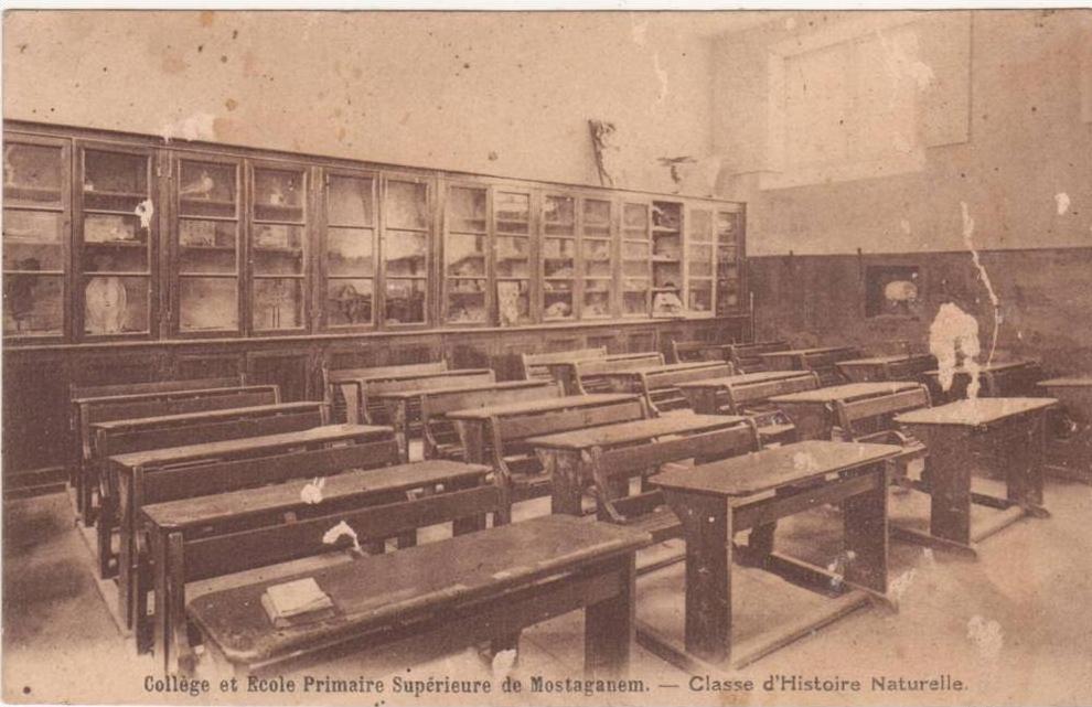 algerie-collège et ecole primaire superieure de mostaganem- classe d'histoire naturelle