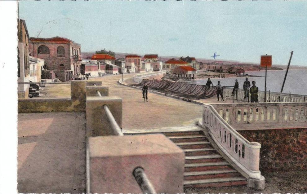 Algérie-environs de Mostaganem-la Salamandre