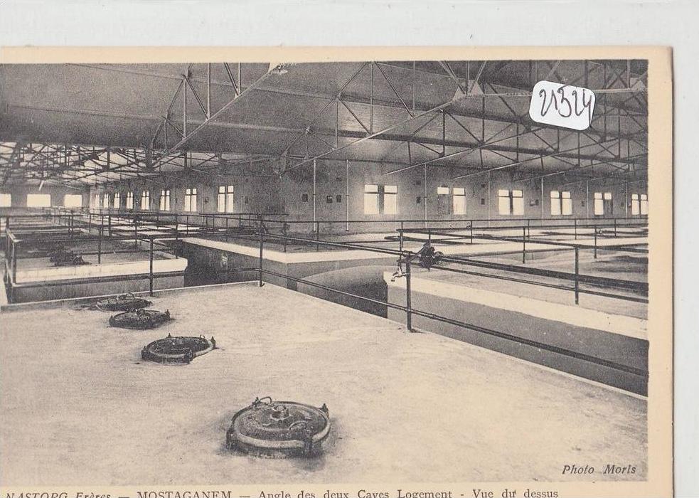 CPA - Algérie - Mostaganem - Détail ( voir scan) des caves NASTORG frères