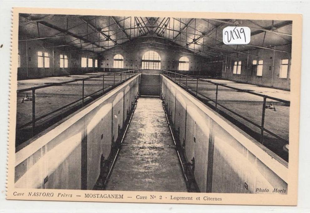 CPA - Algérie - Mostaganem - Détail ( voir scan) des caves NASTORG frères