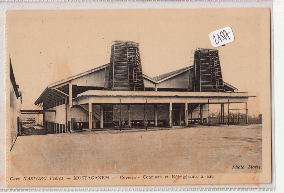 CPA - Algérie - Mostaganem - Détail ( voir scan) des caves NASTORG frères