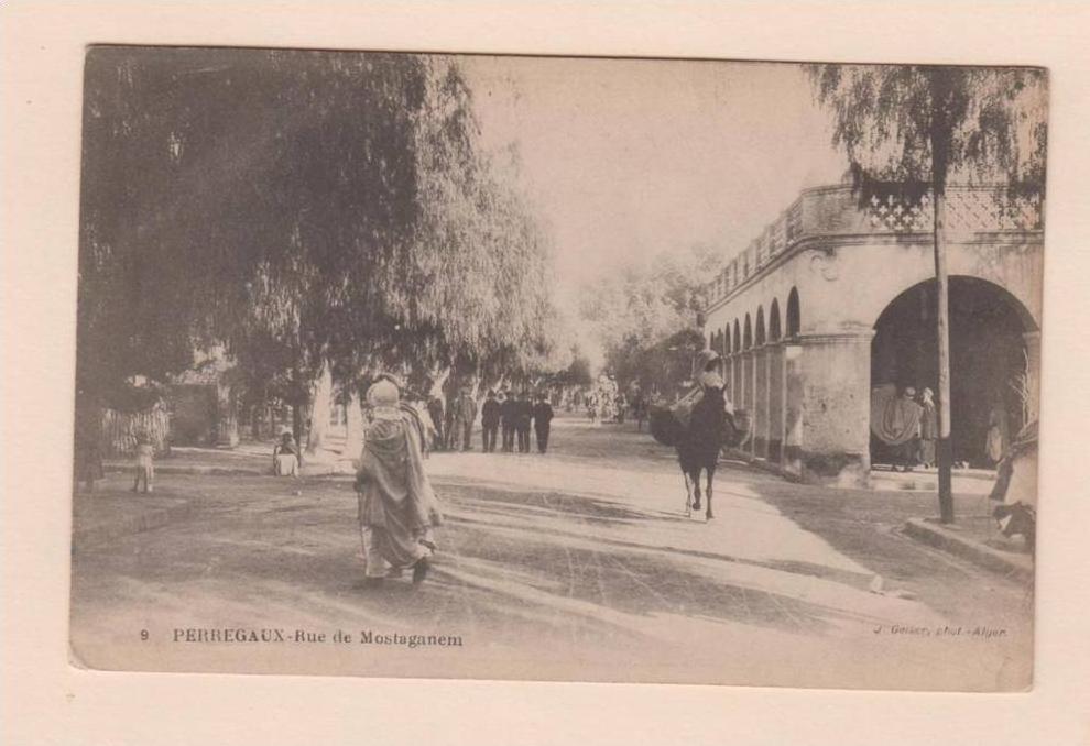 D51582 Postcard Perregauz Rue de Mostaganem, 9, Algeria, J. Geiser Photo,  Unused