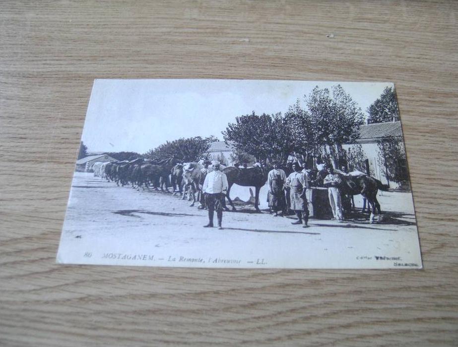 A-1-3-5 Mostaganem la Remonte L'Abreuvoir