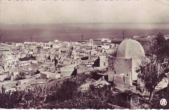 ALGERIE - cpsm MOSTAGANEM - le marabout sidi abdelkader - vue générale de TIDGDITT - nr 19 alexandre sirecky à oran - d4