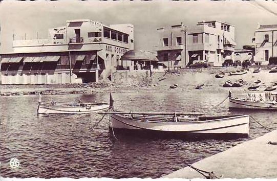 ALGERIE - env. MOSTAGANEM - la salamandre - nr 31 alexandre sirecky à oran - d4 663