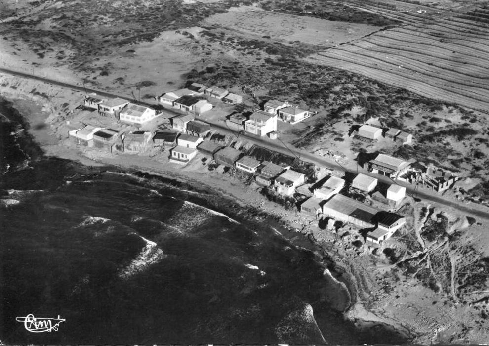 ALGERIE(MOSTAGANEM) SALAMANDRE