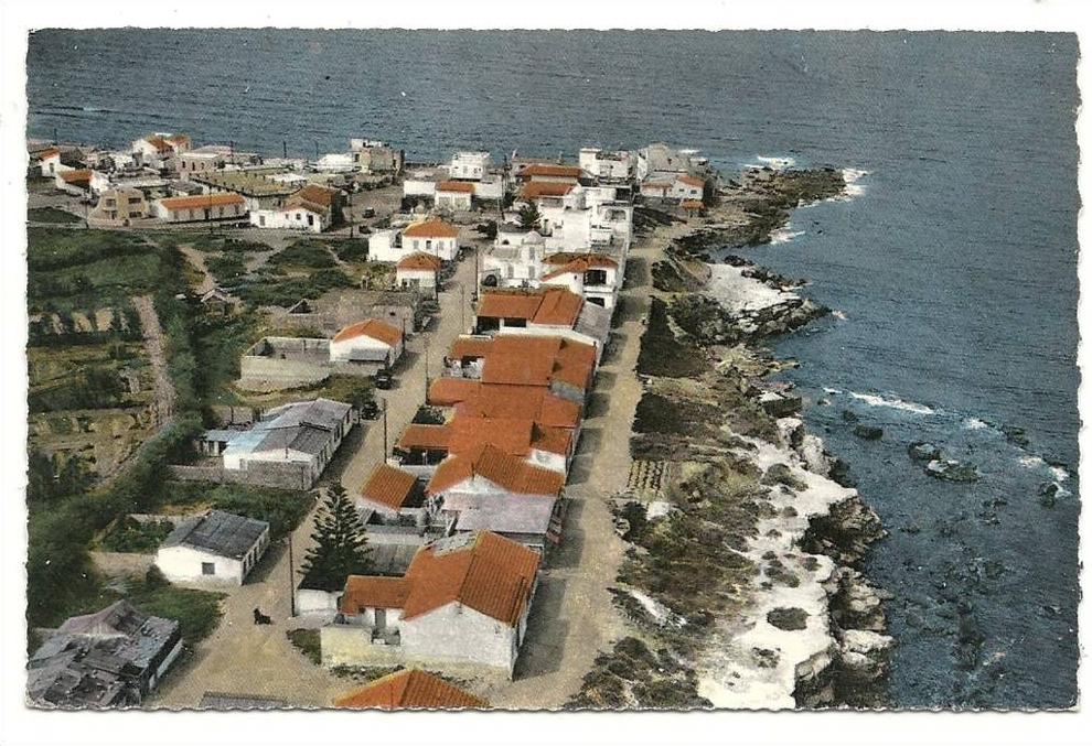 Mostaganem-environ de- (Algérie)  Vue aérienne sur un quartier de La Salamandre en 1950 (animée) PHOTO VERITABLE.