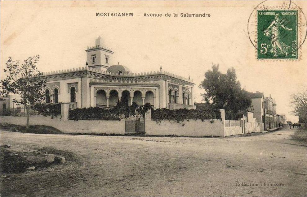 ALGERIE  MOSTAGANEM  Avenue de la salamandre