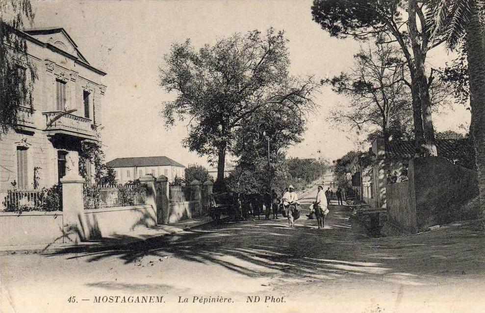 ALGERIE  MOSTAGANEM  La Pépinière